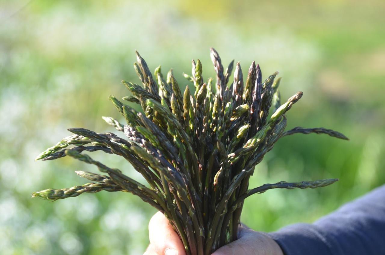 Agriturismo Turudhis Tortolì Zewnętrze zdjęcie