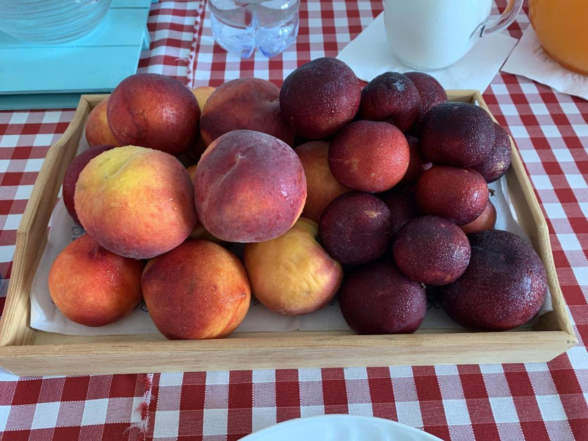 Agriturismo Turudhis Tortolì Zewnętrze zdjęcie